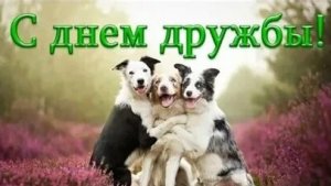 С днём дружбы. Музыкальная открытка поздравление.