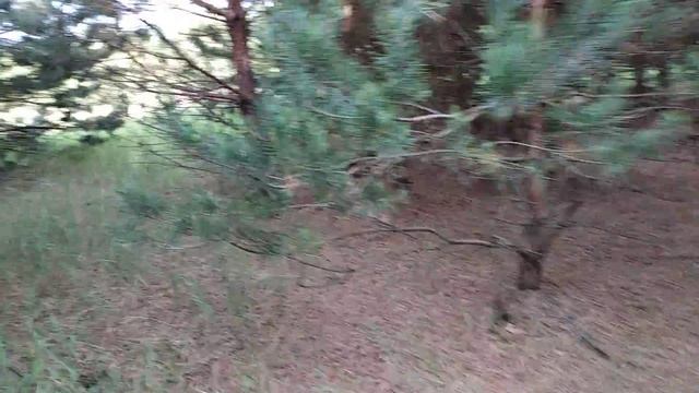 Просто красивая поляна. Новохоперский район. смотреть онлайн