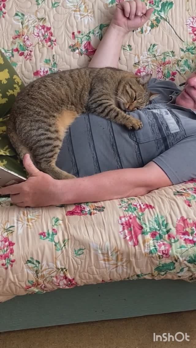 Лечебный кот Изюм смотреть онлайн