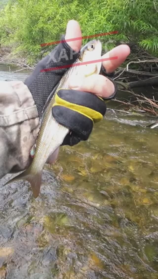 День Рыбака 2025 Скоро на канале! смотреть онлайн