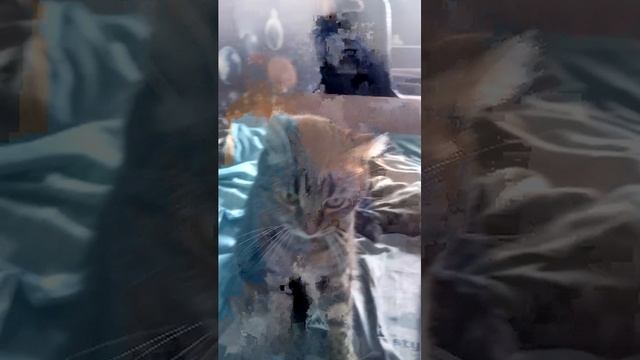 с смотреть онлайн