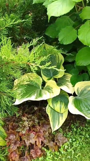 Один из любимых уголков) смотреть онлайн