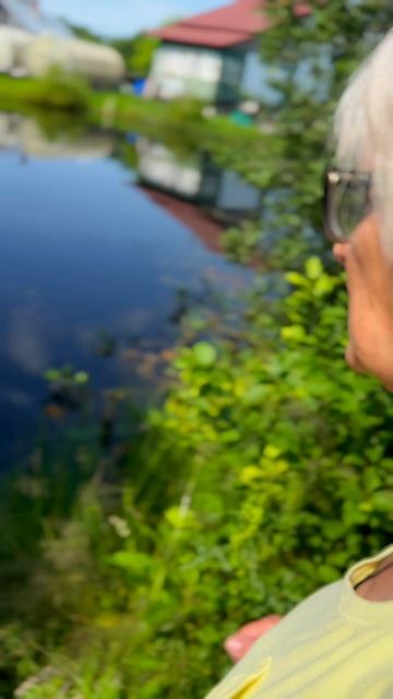 Моя дочь подцепила амебу поедающую мозг.. смотреть онлайн