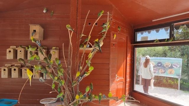 Природный орнитологический парк Имеретинской низменности смотреть онлайн