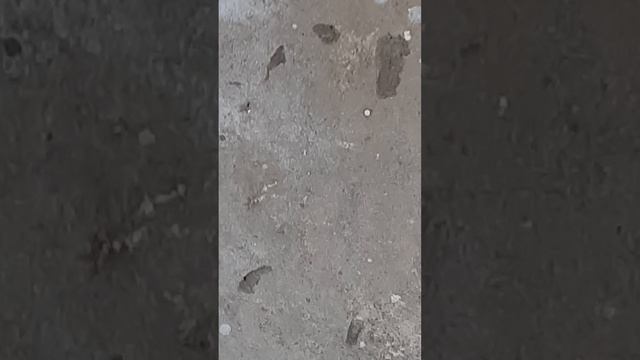 бомба смотреть онлайн