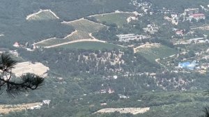 Мы идём по лесу мы идём по лесу