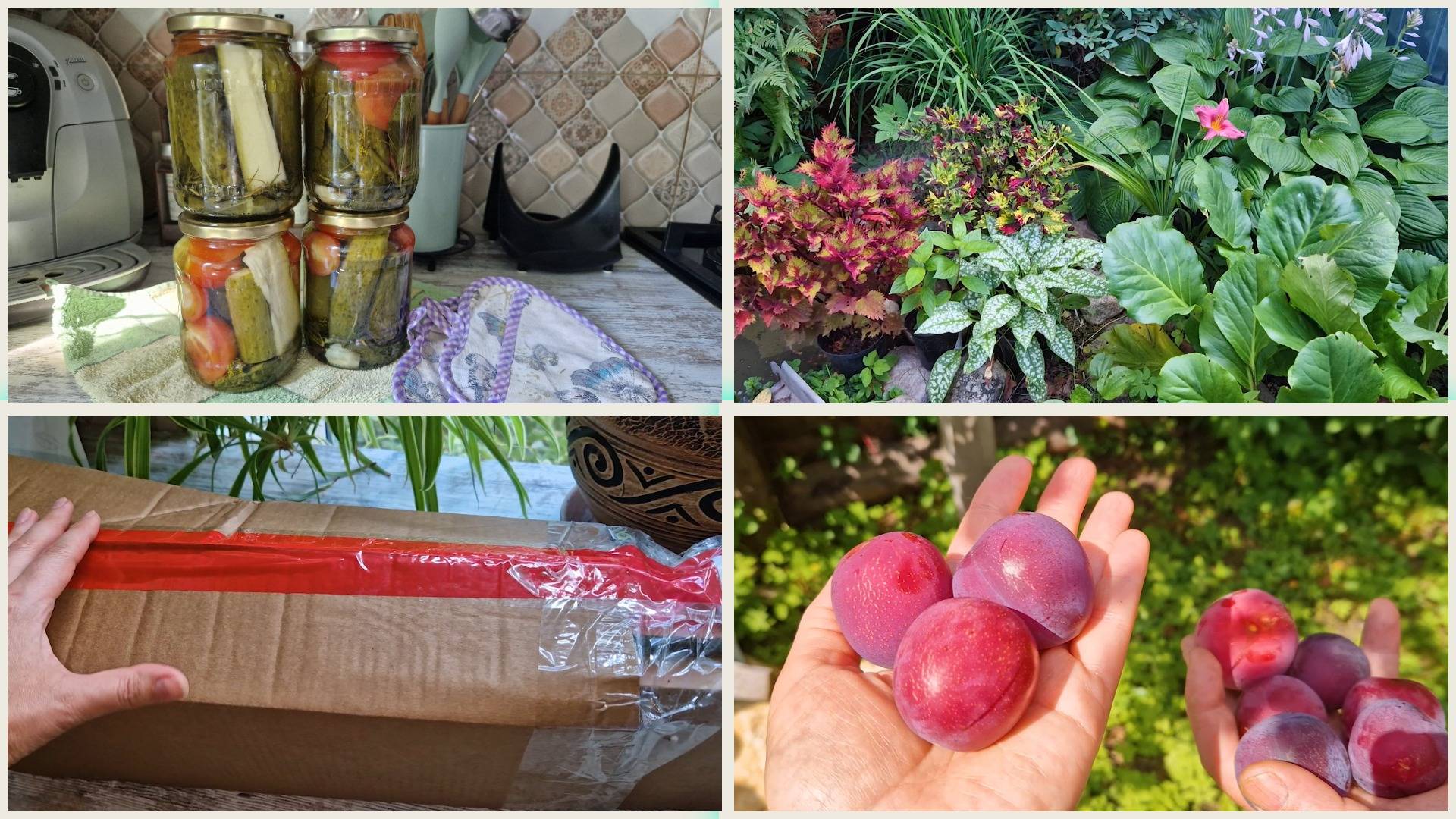 Господь услышал мои молитвы!🙏 Котлеты как пух. Домашние хлопоты с утра. смотреть онлайн