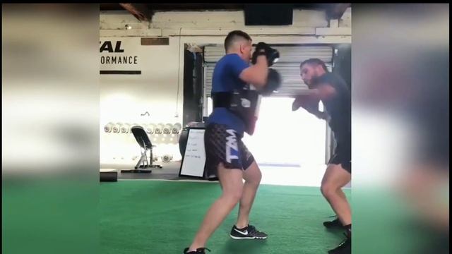 Тренировки