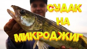 МИКРОДЖИГ ловит СУДАКА💪💪💪 Рыбалка в дождь 👍