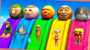 Мультики про итальянские мемы для детей и малышей. Детские мультики Смотреть онлайн