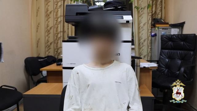 Нижегородские полицейские вернули пожилой женщине денежные средства, которые она передала мошенникам смотреть онлайн