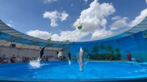 Дельфинарий