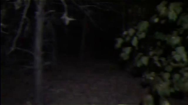 Dexter| analog horror| part 3 смотреть онлайн