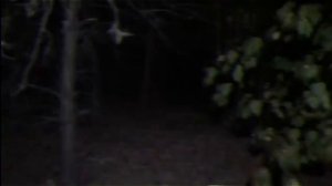 Dexter| analog horror| part 3