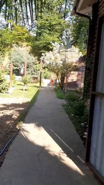 1000182758.mp4 смотреть онлайн