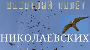 высотный полёт