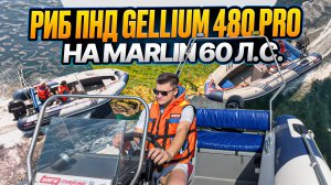 Долгожданное видео – РИБ ПНД Gellium 480 PRO на Marlin 60 л.с.