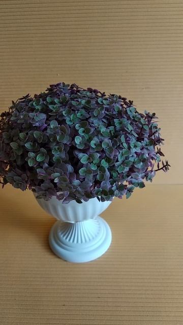 каллизия Розовая пантера смотреть онлайн