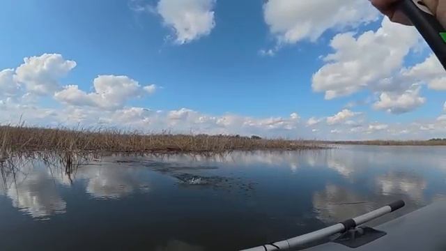 Моя рыбалка на удочку смотреть онлайн