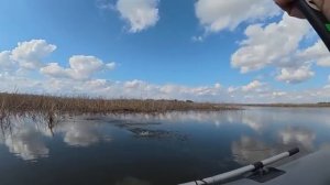 Моя рыбалка на удочку