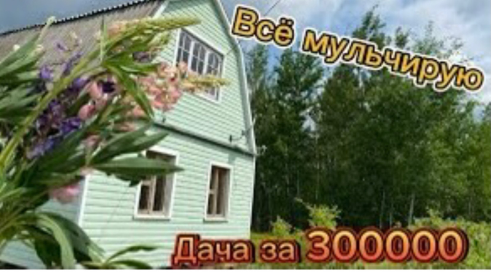 Мульчирую малину