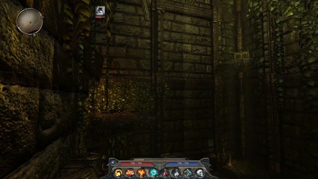 Divinity II: Developer's Cut: Храм Нимира, серия 41