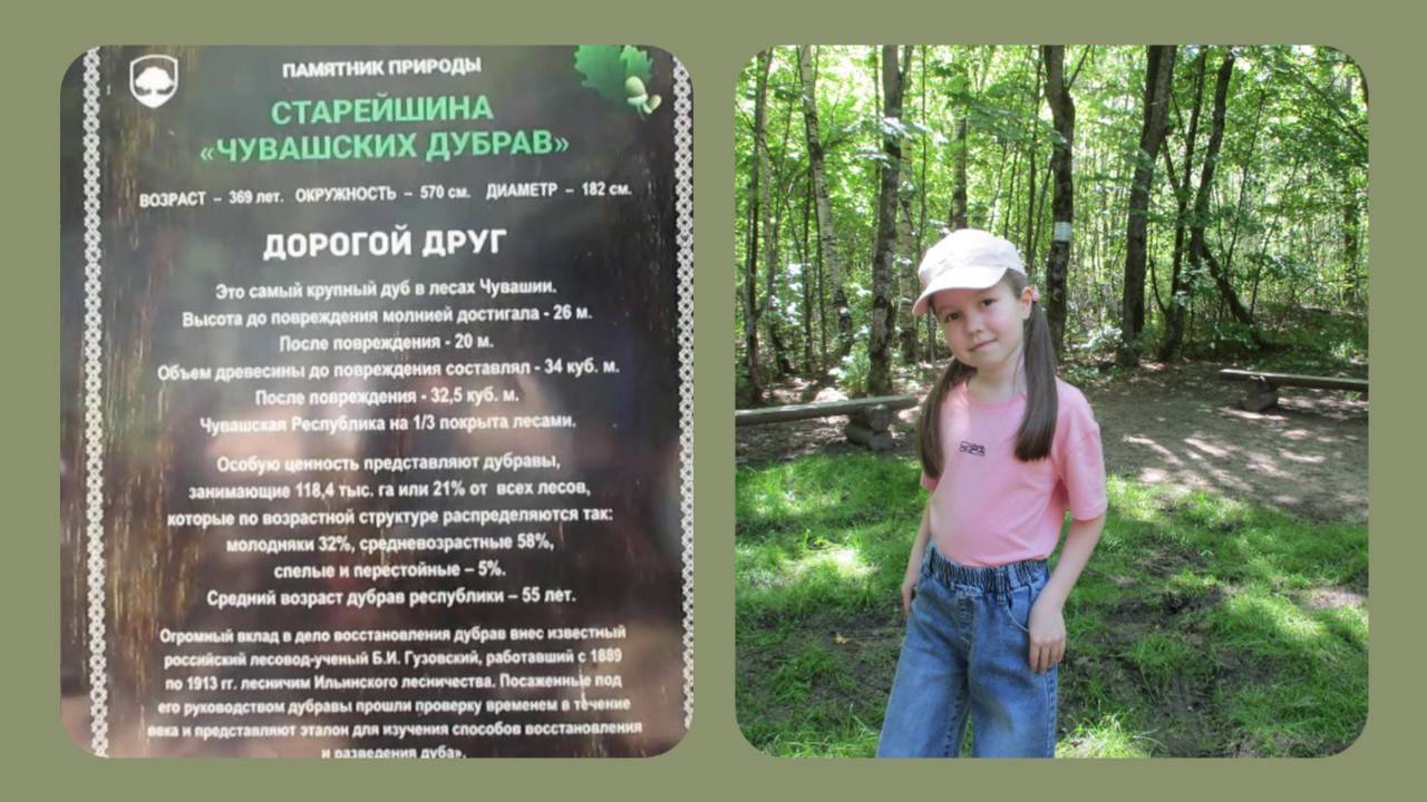 Страусиная ферма, Старейшина Чувашских дубрав, 2 серия