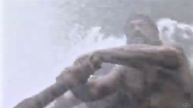 Джейсон и аргонавты