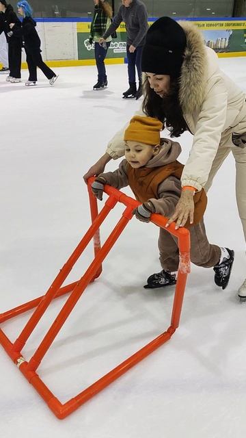 Ледовый дворец 