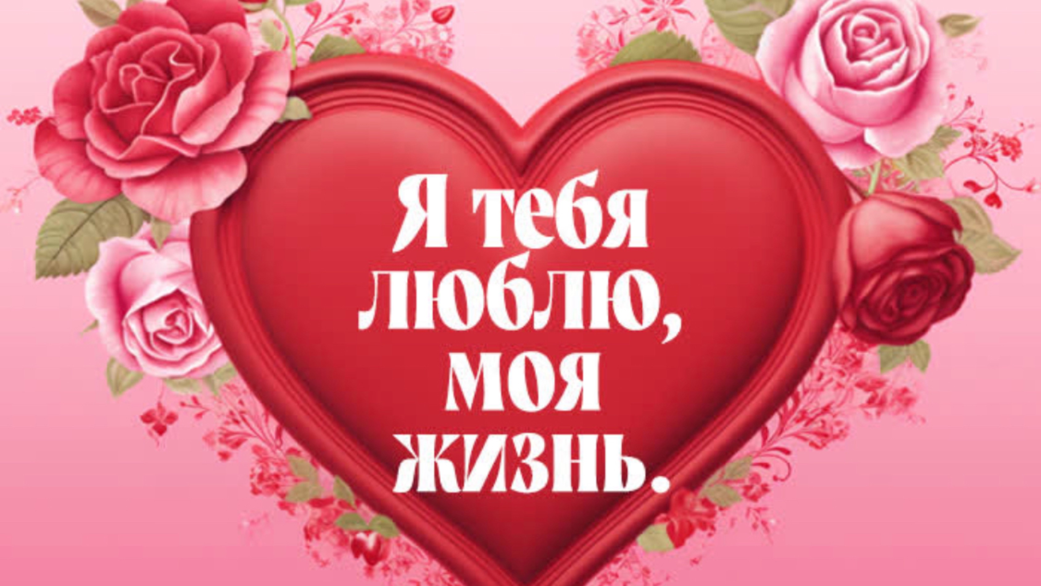 Единственная мечта моей девочки Единственная мечта моей девочки