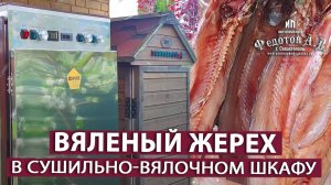 Протестировал Сушильно-вялочный шкаф и вот мои впечатления! Вяленый ЖЕРЕХ.