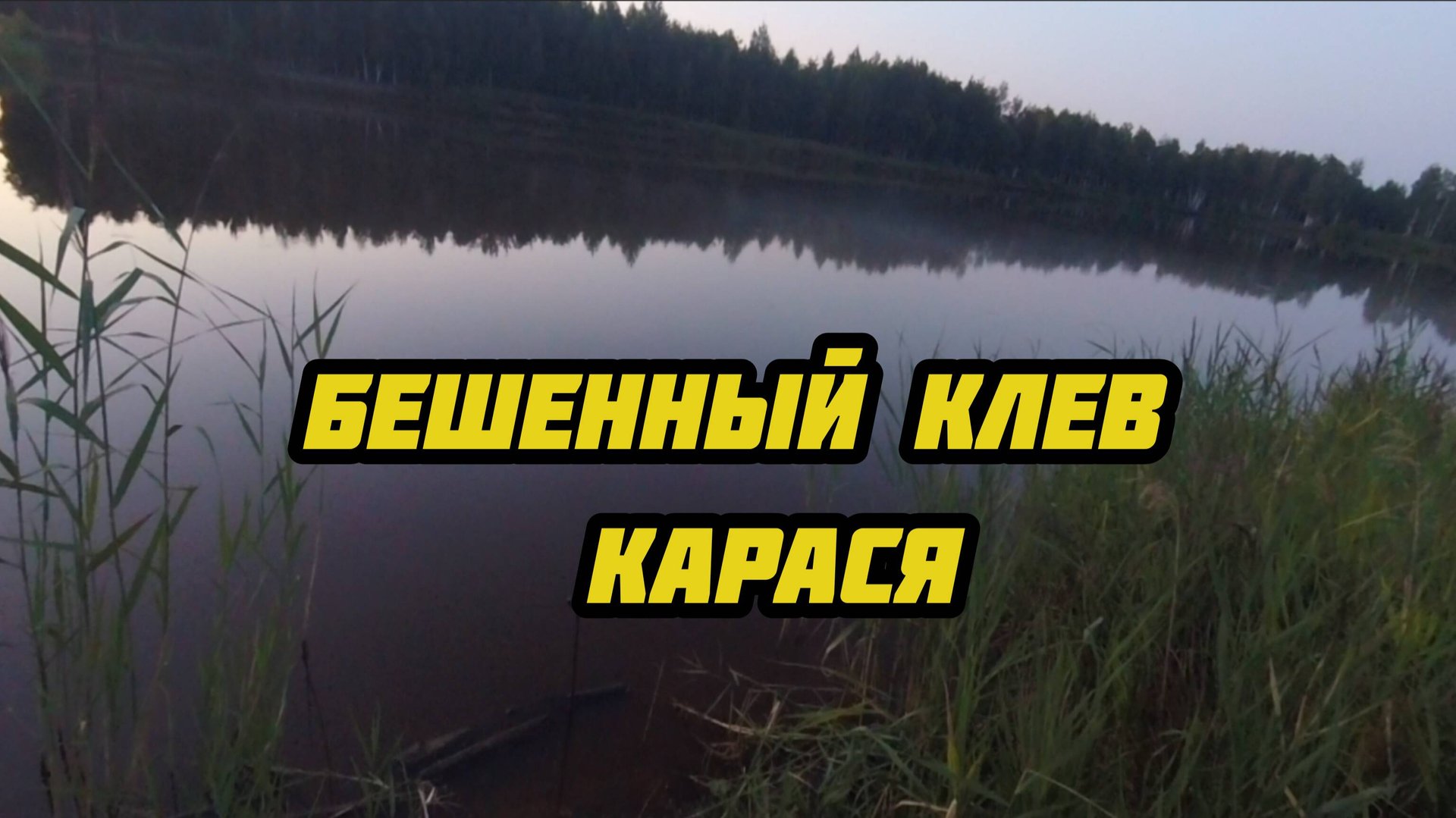 БЕШЕННЫЙ клев карася!