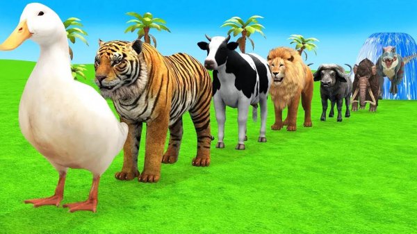 Мультики про животных. Дикие животные: горилла, тигр, бегемот. Смотреть онлайн Мультики для детей .