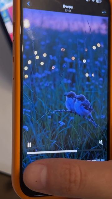 iOS 18.6 Доступна! смотреть онлайн