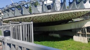 Обзор парка аттракционов в парке ВДНХ. Пишите на чем мне ещё прокатиться.