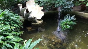 Спб. Ботанический сад