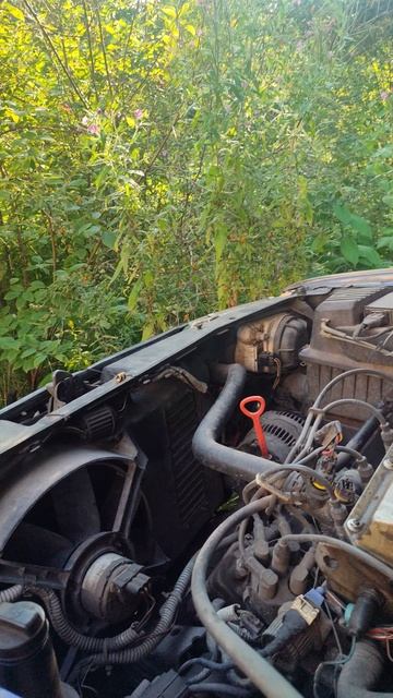 бибикалки бибикай.mp4