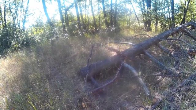 Пеший одиночный поход, река Хопёр. Ч 6 смотреть онлайн