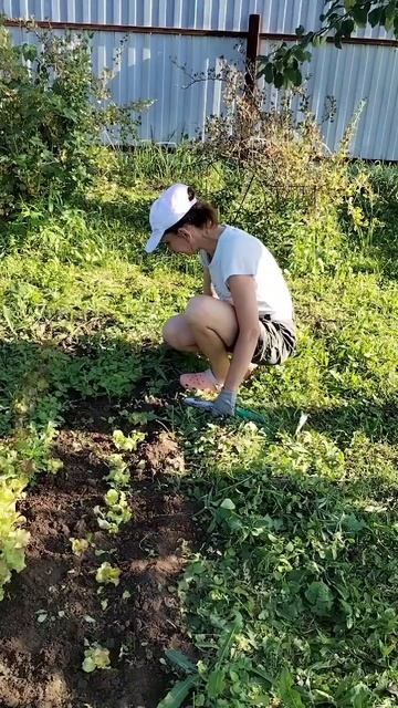 "Как в нашем садочку" 😂 смотреть онлайн