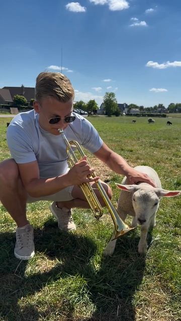 Подождите...😂🐑 смотреть онлайн