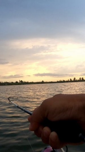 Судак на пассивную приманку 👍👍👍