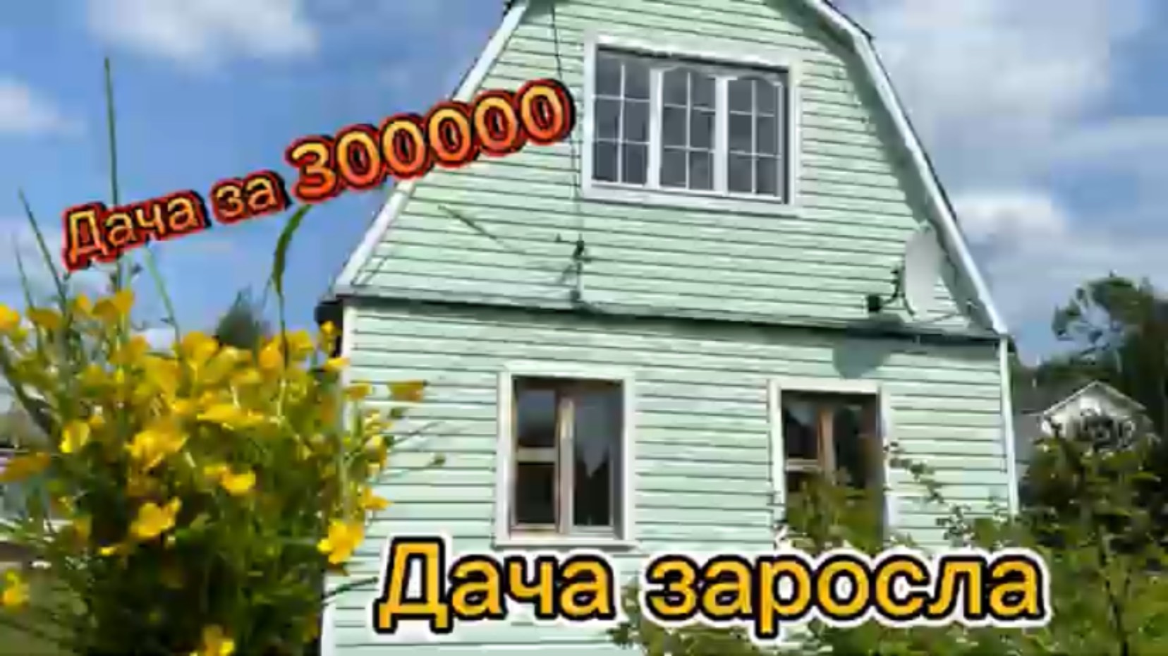 Заросшая дача.