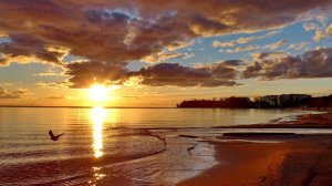 БАЛЛАДА ДЛЯ АДЕЛИНЫ. Композитор П.де Сенневиль. (ИСПОЛНИТЕЛЬ "ИМПРОВИЗАЦИЯ" channel)