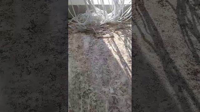 всем Добрый день 😊 смотреть онлайн