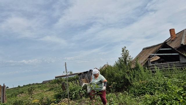 Начала принимать/Выпустили на выгул во двор/ я борюсь с травой смотреть онлайн