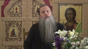 «Архангел Гавриил. Соборы Церкви». Тема вопросов: «Святые Отцы и мы». Видеоконференция. 260725.