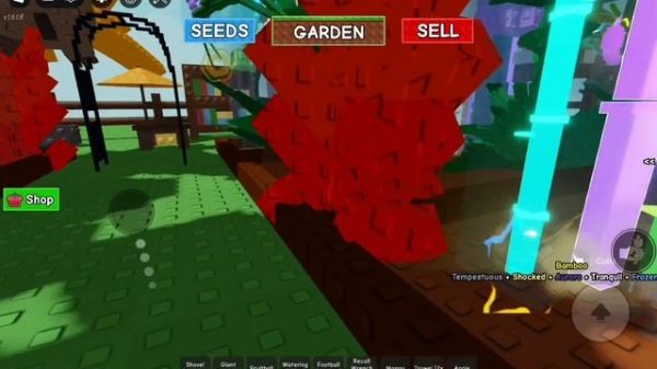 обзор на сад