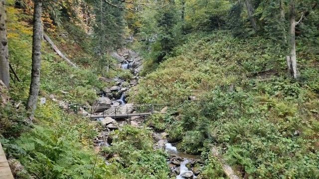 тропа к водопаду Роза хутор смотреть онлайн