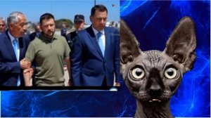 На Украину напала саранча. Кто виноват? / Кот Костян