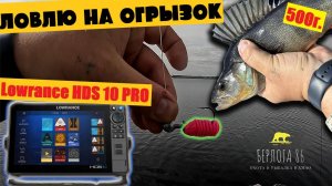 LOWRANCE HDS 10 PRO!! БОЛЬШОЙ ОКУНЬ !! ДИКАРКА ЖУРАЛАЙФА!!
